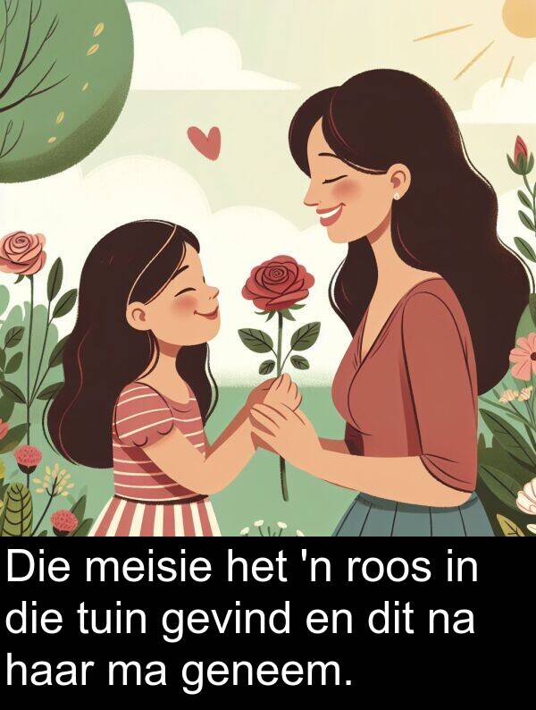 meisie: Die meisie het 'n roos in die tuin gevind en dit na haar ma geneem.