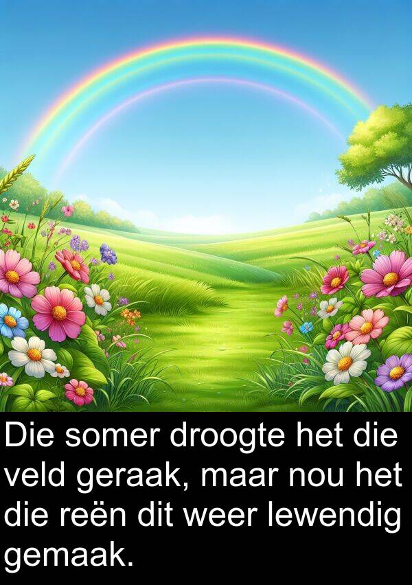 droogte: Die somer droogte het die veld geraak, maar nou het die reën dit weer lewendig gemaak.