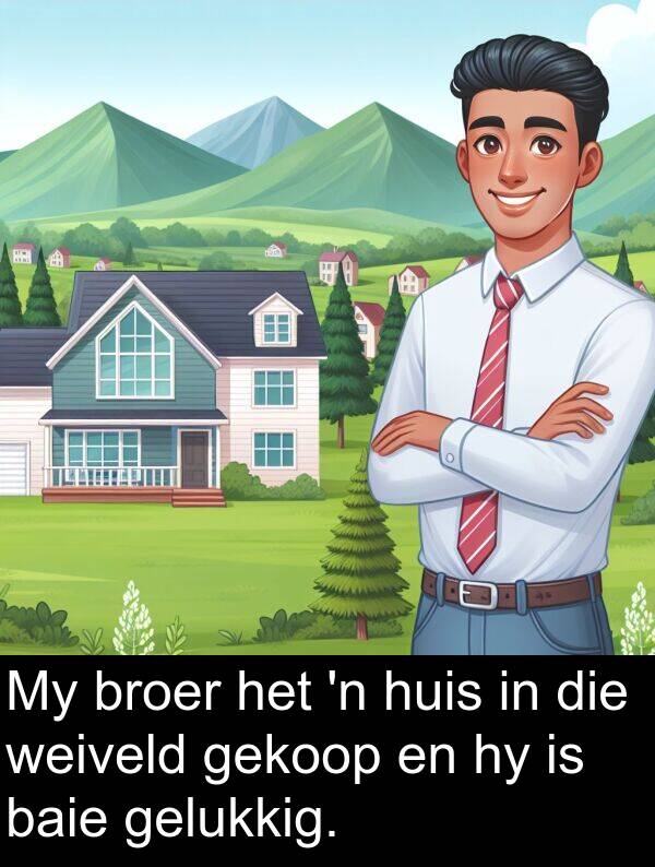 weiveld: My broer het 'n huis in die weiveld gekoop en hy is baie gelukkig.