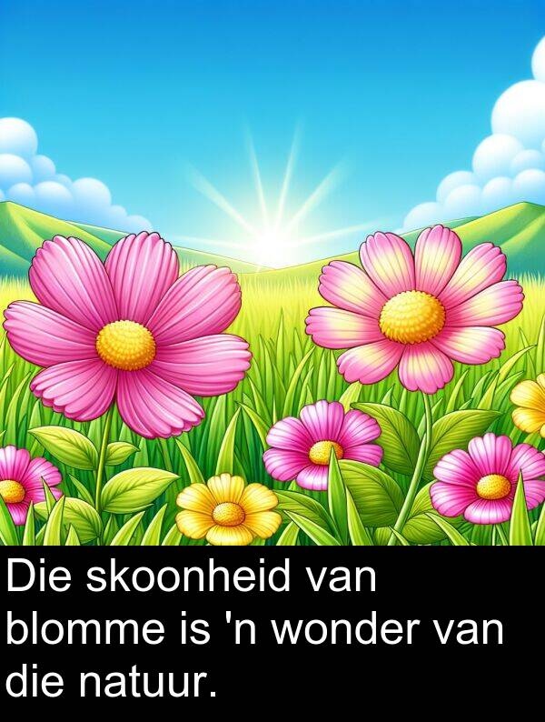 wonder: Die skoonheid van blomme is 'n wonder van die natuur.