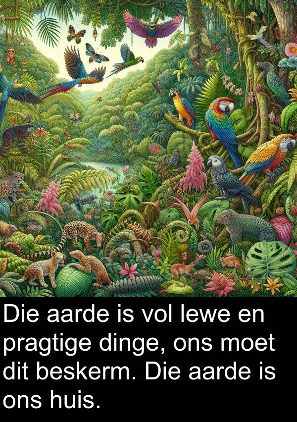 dinge: Die aarde is vol lewe en pragtige dinge, ons moet dit beskerm. Die aarde is ons huis.
