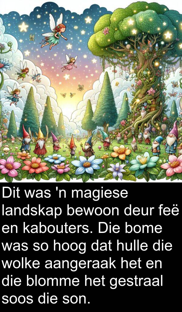 hoog: Dit was 'n magiese landskap bewoon deur feë en kabouters. Die bome was so hoog dat hulle die wolke aangeraak het en die blomme het gestraal soos die son.
