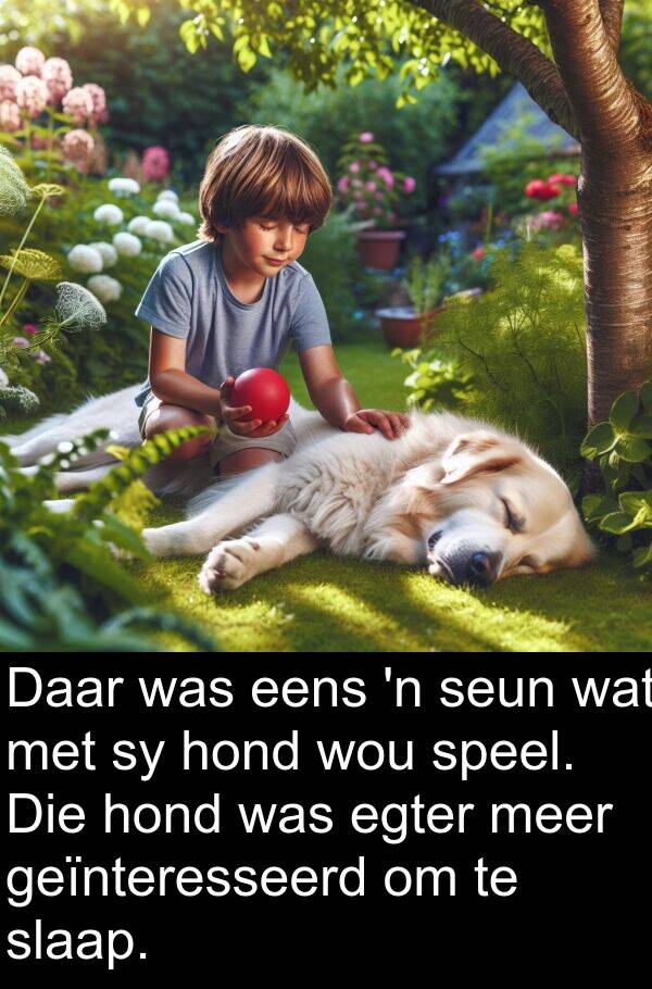 geïnteresseerd: Daar was eens 'n seun wat met sy hond wou speel. Die hond was egter meer geïnteresseerd om te slaap.