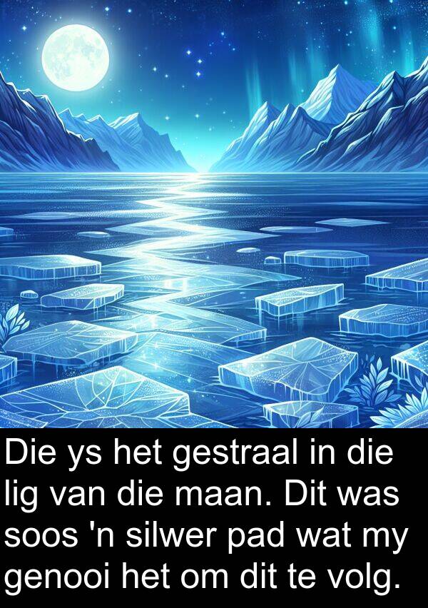 silwer: Die ys het gestraal in die lig van die maan. Dit was soos 'n silwer pad wat my genooi het om dit te volg.