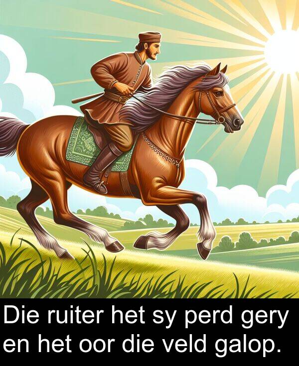 oor: Die ruiter het sy perd gery en het oor die veld galop.