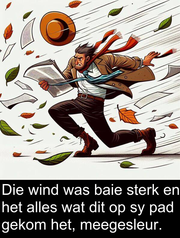 meegesleur: Die wind was baie sterk en het alles wat dit op sy pad gekom het, meegesleur.