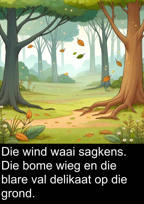 delikaat: Die wind waai sagkens. Die bome wieg en die blare val delikaat op die grond.