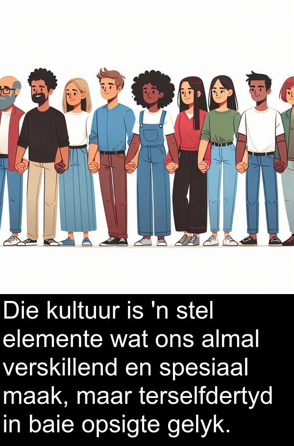 terselfdertyd: Die kultuur is 'n stel elemente wat ons almal verskillend en spesiaal maak, maar terselfdertyd in baie opsigte gelyk.