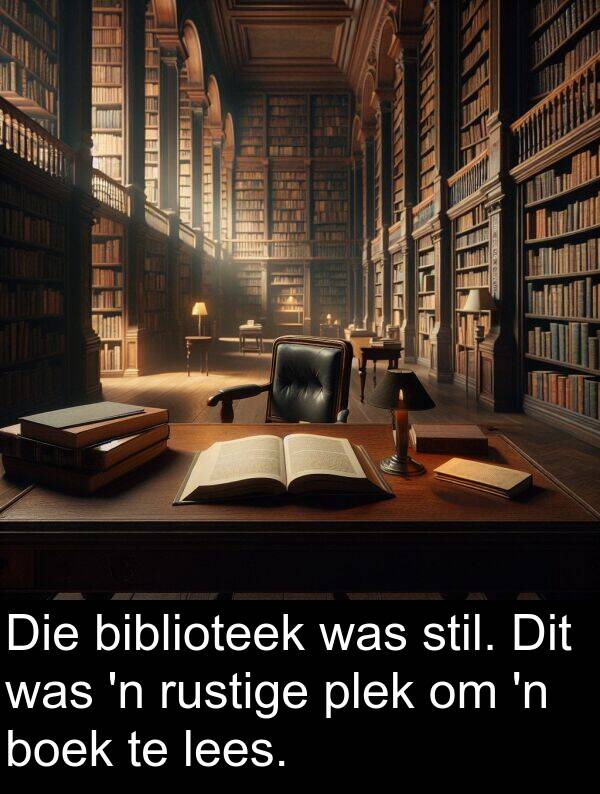 lees: Die biblioteek was stil. Dit was 'n rustige plek om 'n boek te lees.