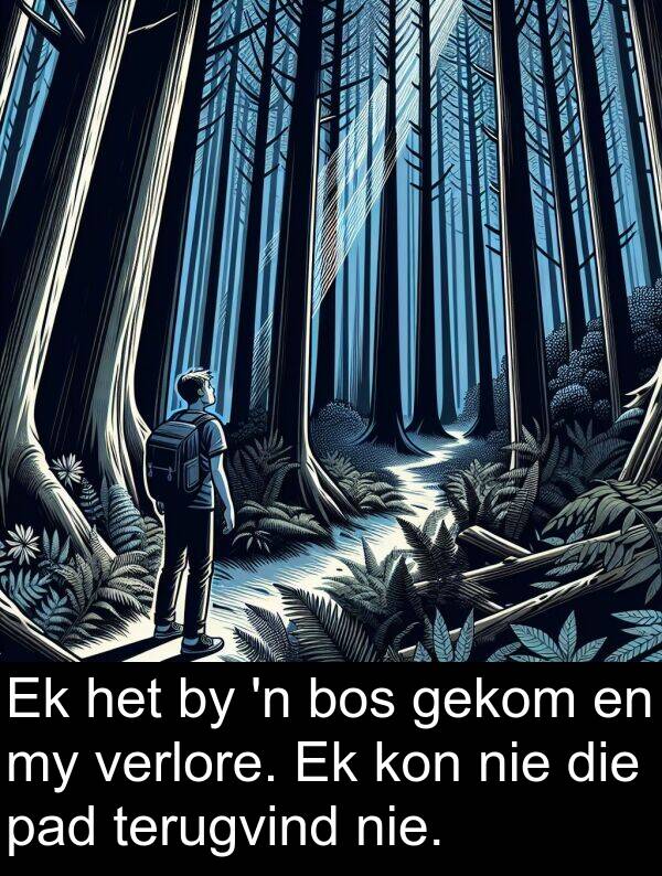 terugvind: Ek het by 'n bos gekom en my verlore. Ek kon nie die pad terugvind nie.