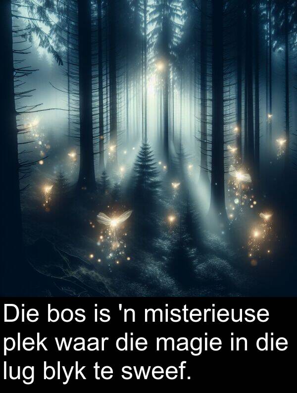 magie: Die bos is 'n misterieuse plek waar die magie in die lug blyk te sweef.