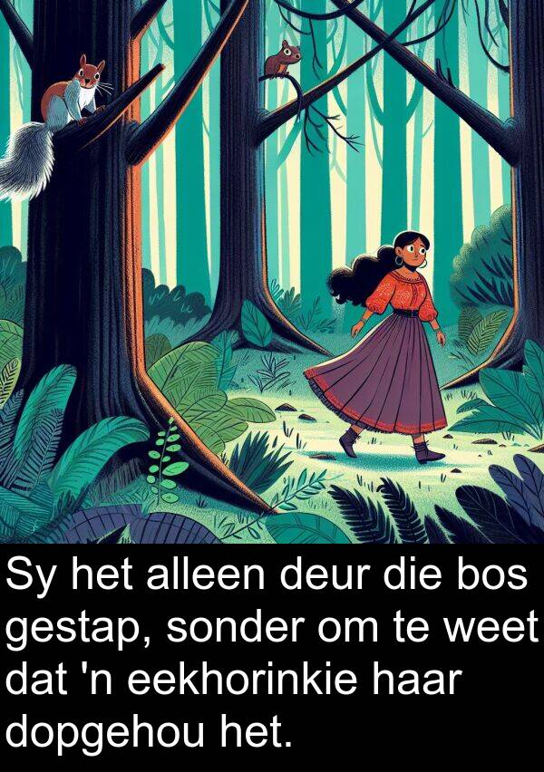 eekhorinkie: Sy het alleen deur die bos gestap, sonder om te weet dat 'n eekhorinkie haar dopgehou het.