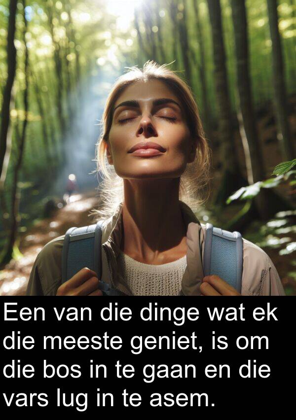 dinge: Een van die dinge wat ek die meeste geniet, is om die bos in te gaan en die vars lug in te asem.