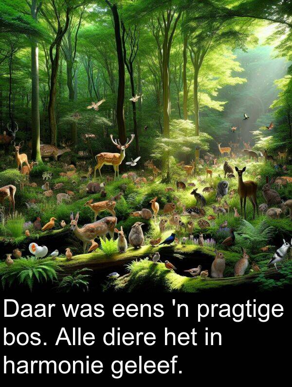 geleef: Daar was eens 'n pragtige bos. Alle diere het in harmonie geleef.