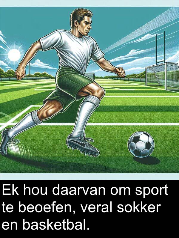 basketbal: Ek hou daarvan om sport te beoefen, veral sokker en basketbal.