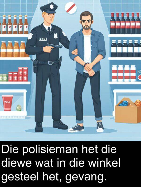 diewe: Die polisieman het die diewe wat in die winkel gesteel het, gevang.
