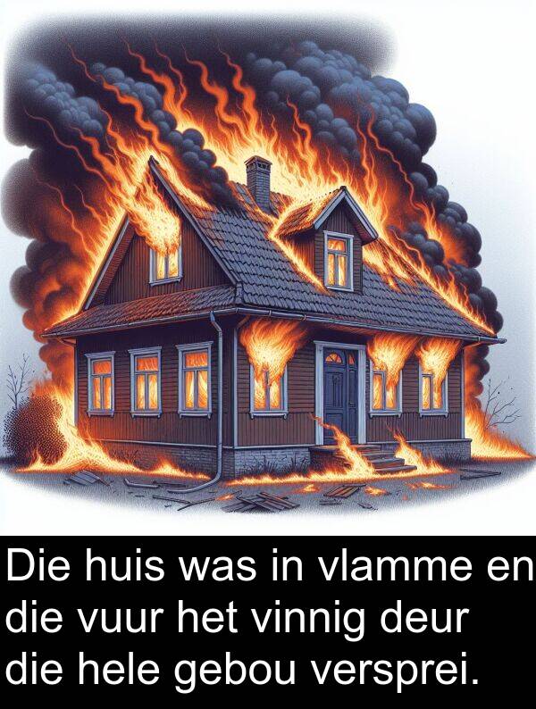 vuur: Die huis was in vlamme en die vuur het vinnig deur die hele gebou versprei.