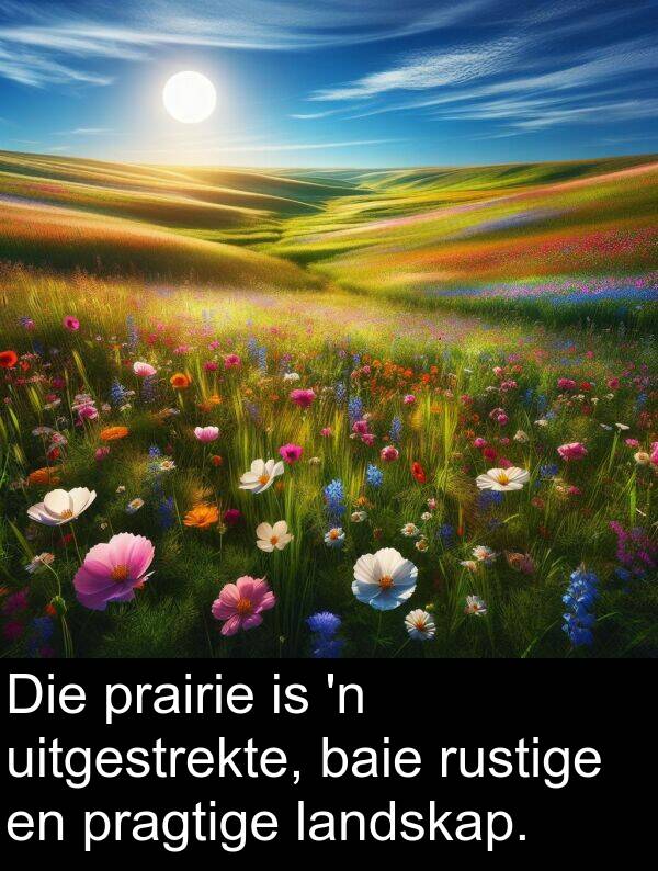 prairie: Die prairie is 'n uitgestrekte, baie rustige en pragtige landskap.