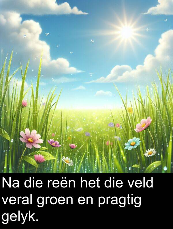 reën: Na die reën het die veld veral groen en pragtig gelyk.