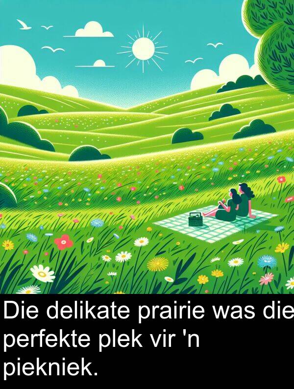 perfekte: Die delikate prairie was die perfekte plek vir 'n piekniek.