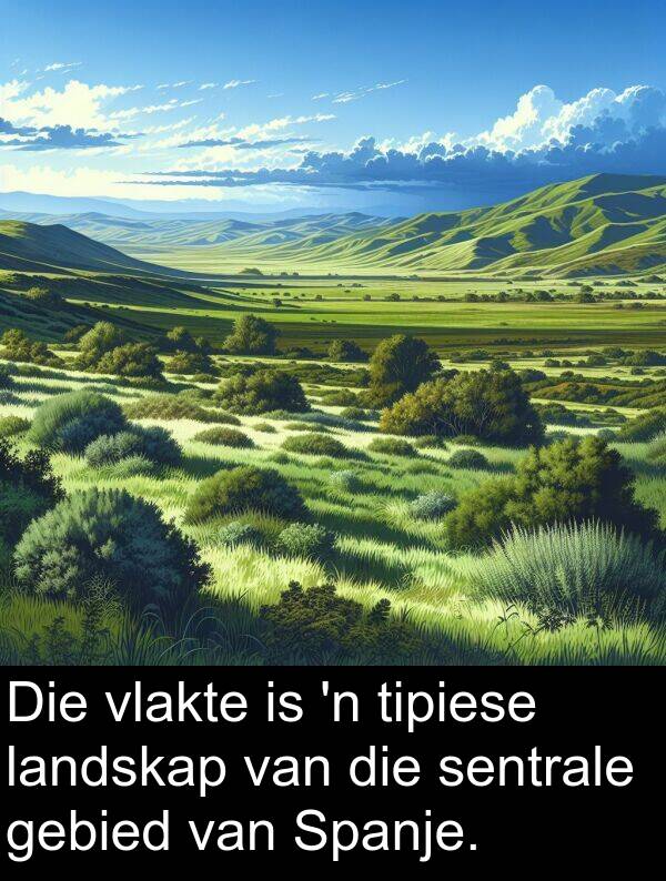 gebied: Die vlakte is 'n tipiese landskap van die sentrale gebied van Spanje.