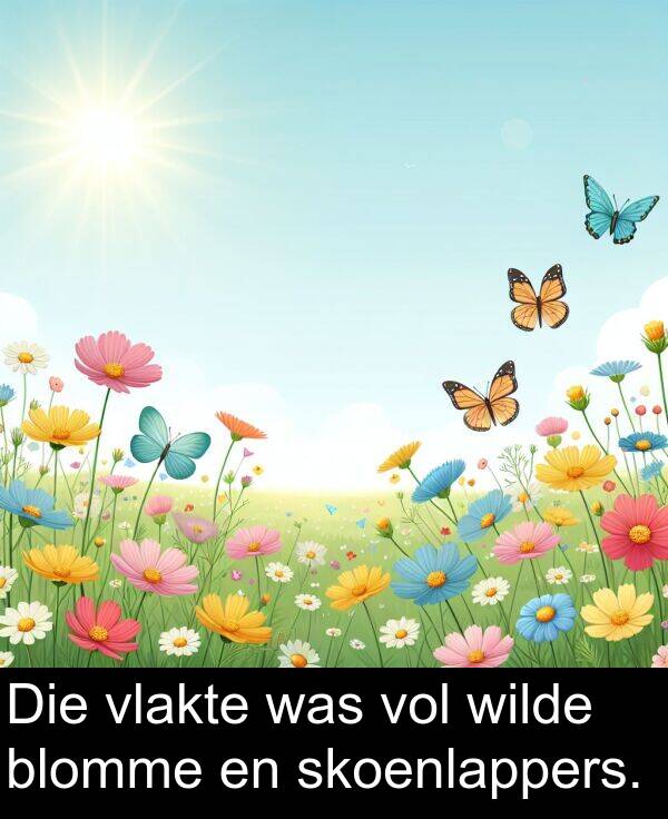 skoenlappers: Die vlakte was vol wilde blomme en skoenlappers.