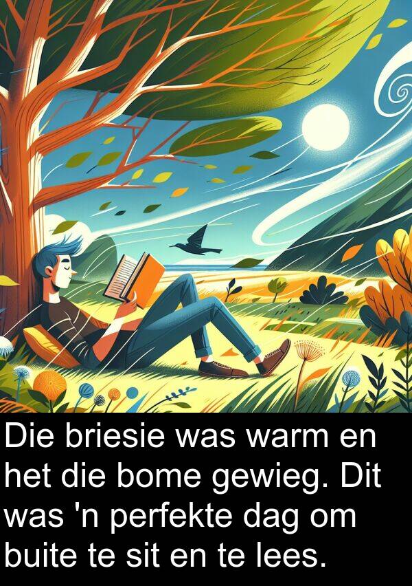 lees: Die briesie was warm en het die bome gewieg. Dit was 'n perfekte dag om buite te sit en te lees.