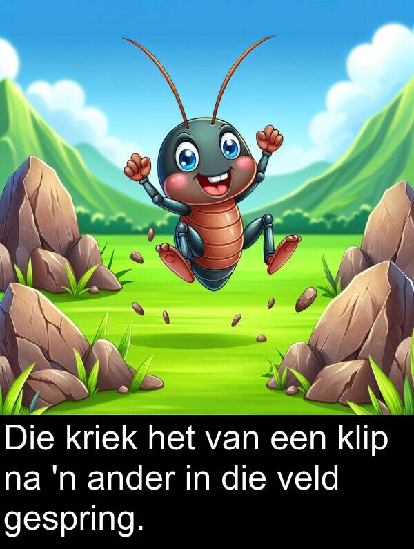 een: Die kriek het van een klip na 'n ander in die veld gespring.