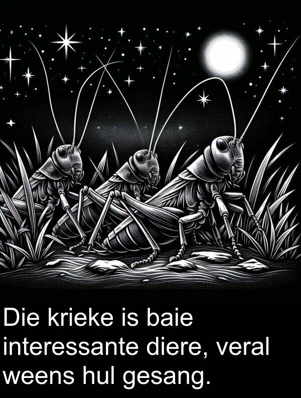 interessante: Die krieke is baie interessante diere, veral weens hul gesang.