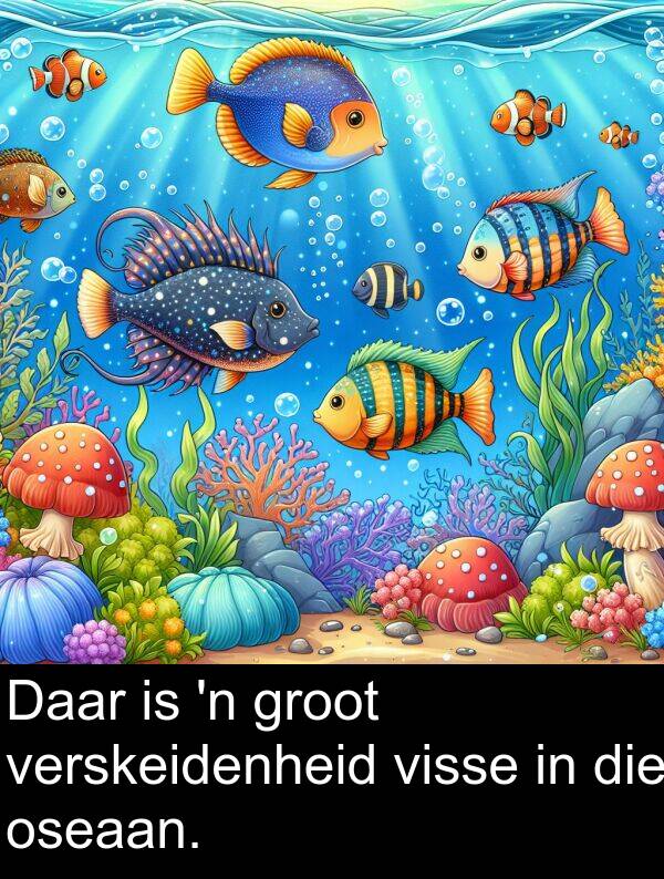 oseaan: Daar is 'n groot verskeidenheid visse in die oseaan.