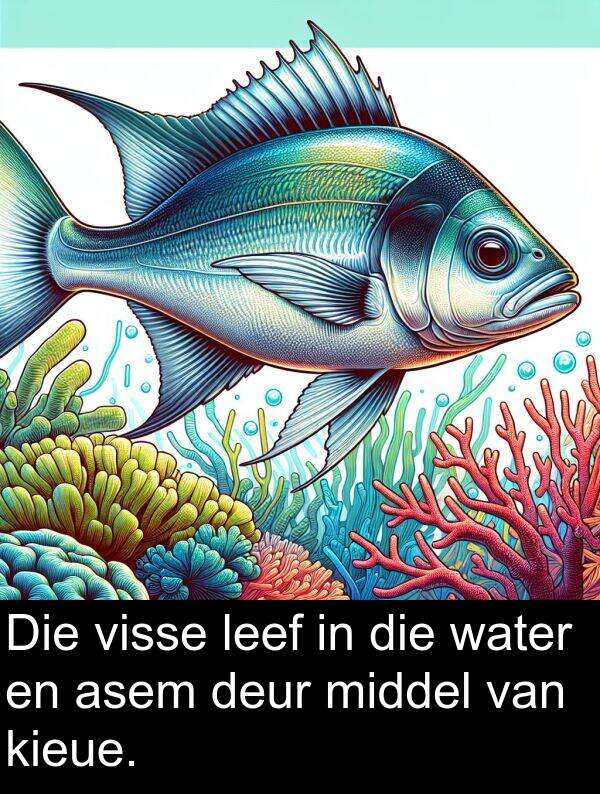 leef: Die visse leef in die water en asem deur middel van kieue.