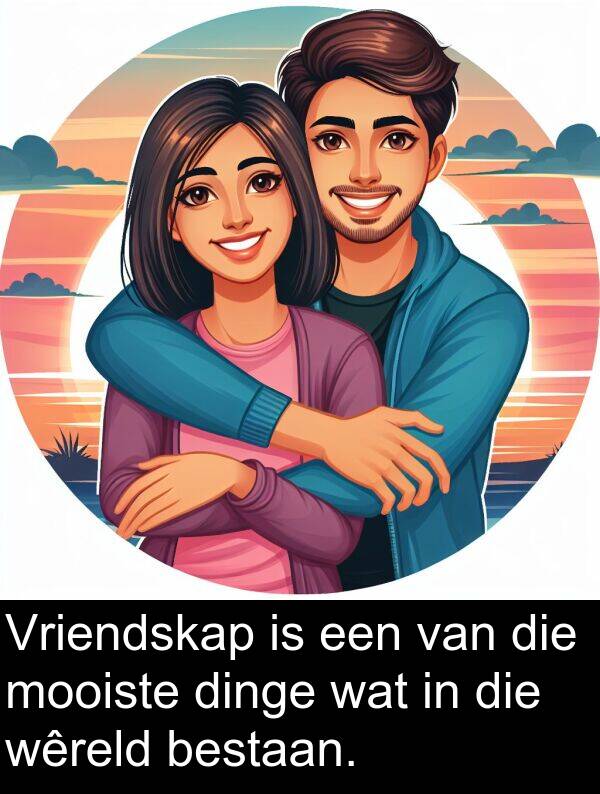 dinge: Vriendskap is een van die mooiste dinge wat in die wêreld bestaan.