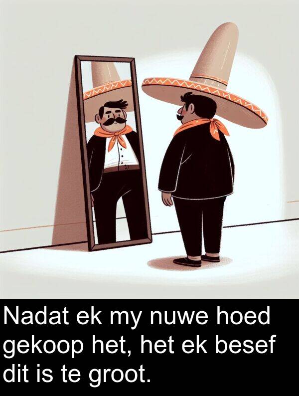 hoed: Nadat ek my nuwe hoed gekoop het, het ek besef dit is te groot.