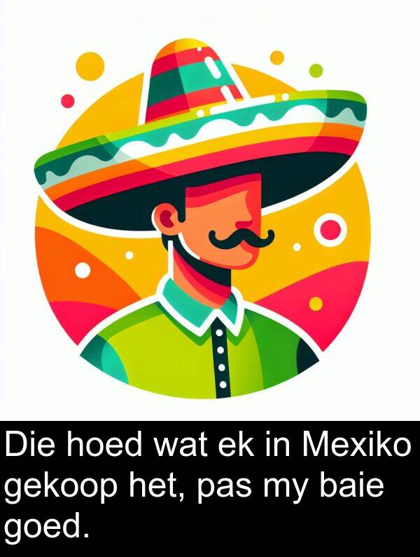 gekoop: Die hoed wat ek in Mexiko gekoop het, pas my baie goed.