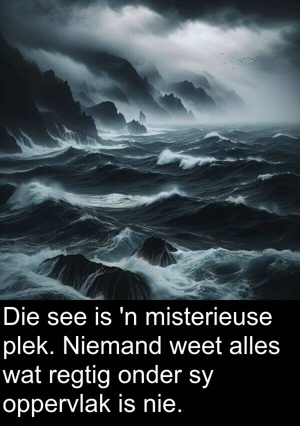 misterieuse: Die see is 'n misterieuse plek. Niemand weet alles wat regtig onder sy oppervlak is nie.