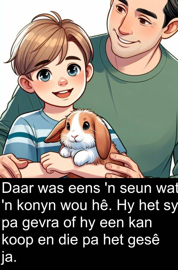 hê: Daar was eens 'n seun wat 'n konyn wou hê. Hy het sy pa gevra of hy een kan koop en die pa het gesê ja.