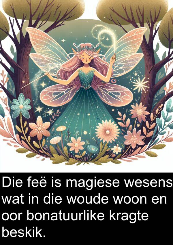 woon: Die feë is magiese wesens wat in die woude woon en oor bonatuurlike kragte beskik.