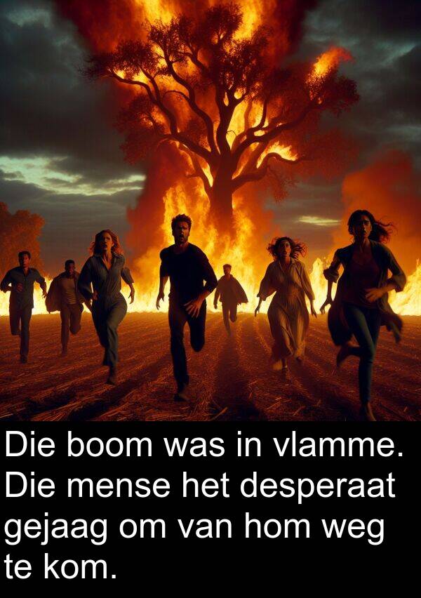 desperaat: Die boom was in vlamme. Die mense het desperaat gejaag om van hom weg te kom.