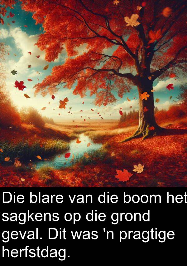 herfstdag: Die blare van die boom het sagkens op die grond geval. Dit was 'n pragtige herfstdag.