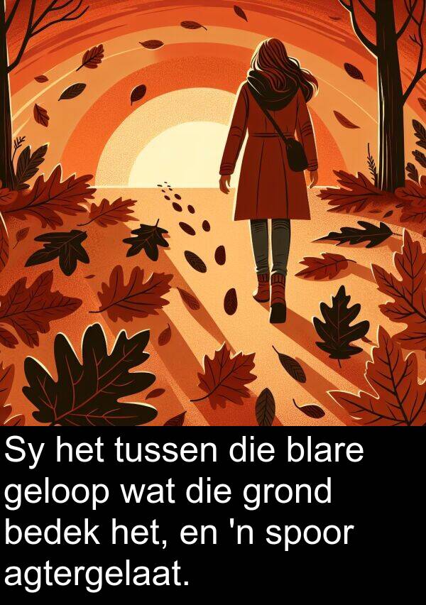 geloop: Sy het tussen die blare geloop wat die grond bedek het, en 'n spoor agtergelaat.