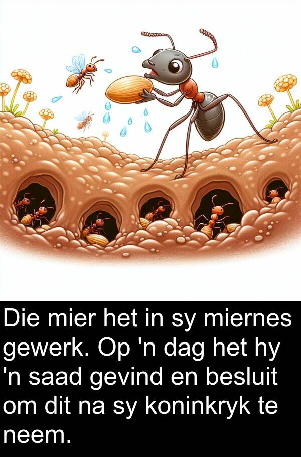 mier: Die mier het in sy miernes gewerk. Op 'n dag het hy 'n saad gevind en besluit om dit na sy koninkryk te neem.