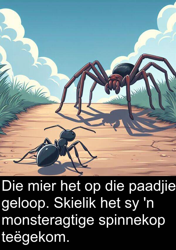 geloop: Die mier het op die paadjie geloop. Skielik het sy 'n monsteragtige spinnekop teëgekom.