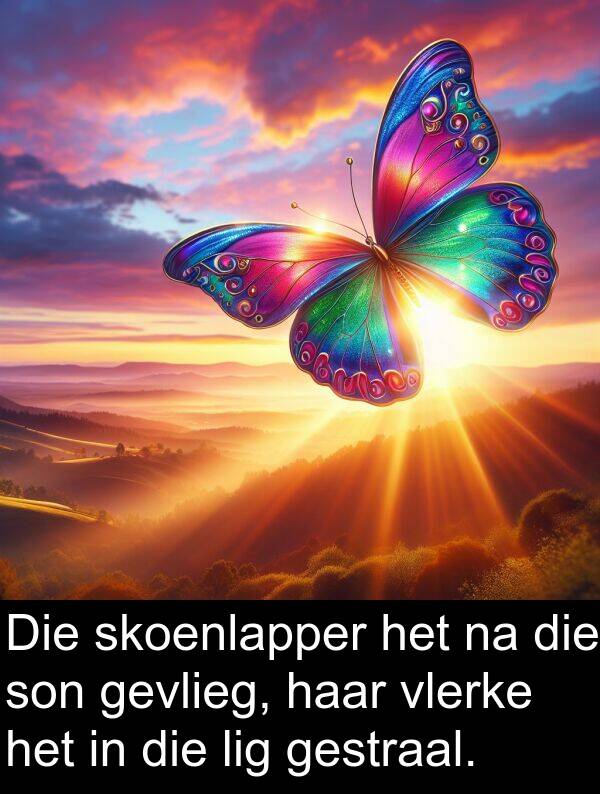 skoenlapper: Die skoenlapper het na die son gevlieg, haar vlerke het in die lig gestraal.