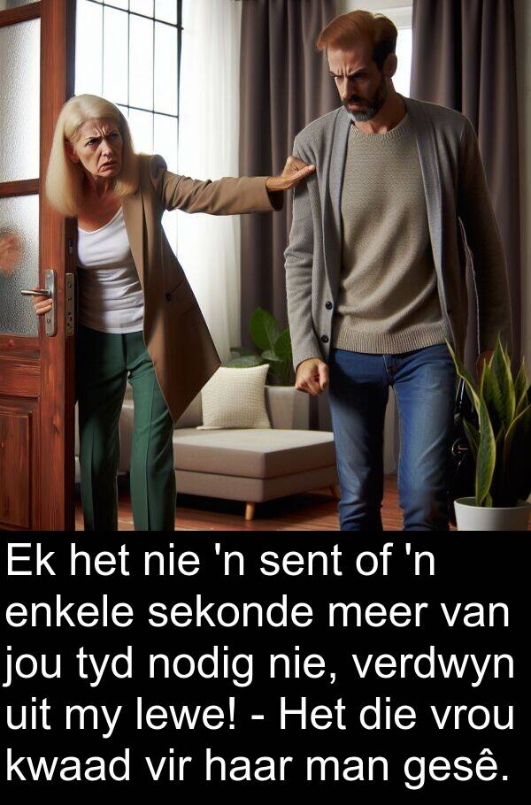sent: Ek het nie 'n sent of 'n enkele sekonde meer van jou tyd nodig nie, verdwyn uit my lewe! - Het die vrou kwaad vir haar man gesê.