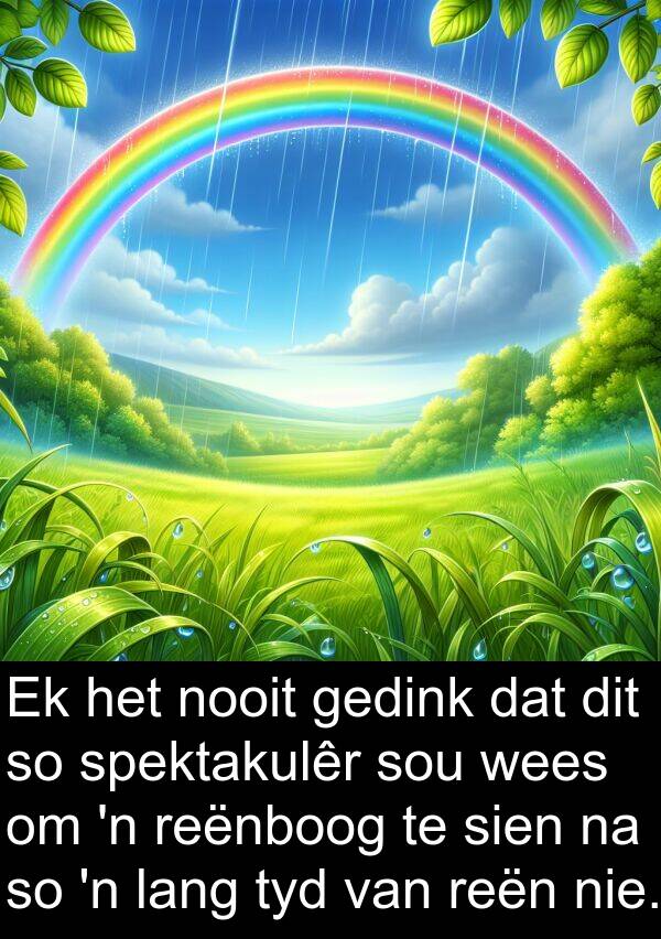 gedink: Ek het nooit gedink dat dit so spektakulêr sou wees om 'n reënboog te sien na so 'n lang tyd van reën nie.