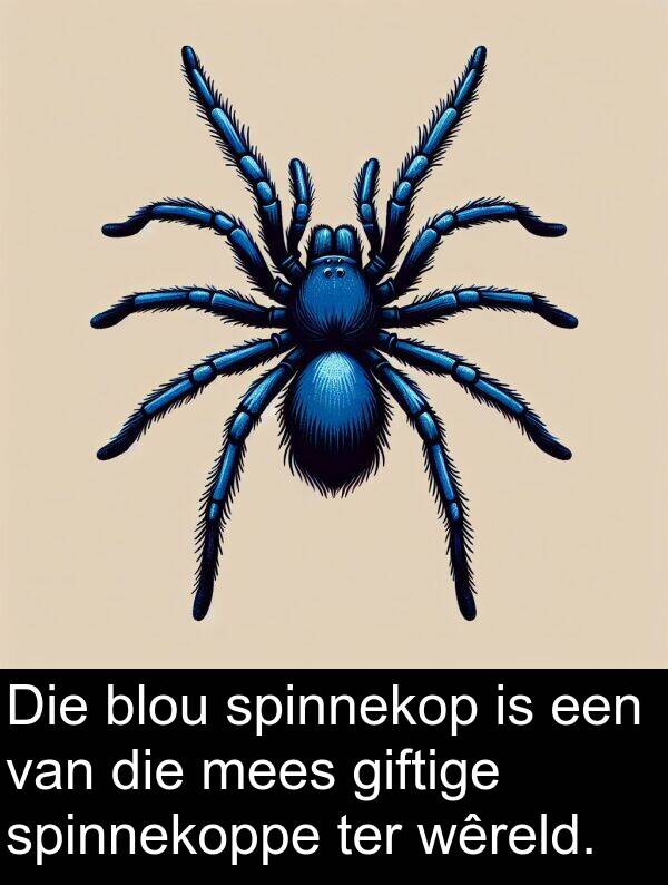 wêreld: Die blou spinnekop is een van die mees giftige spinnekoppe ter wêreld.