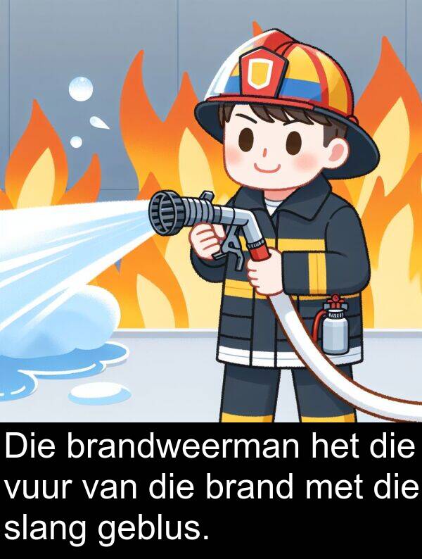 vuur: Die brandweerman het die vuur van die brand met die slang geblus.