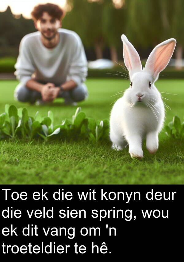 hê: Toe ek die wit konyn deur die veld sien spring, wou ek dit vang om 'n troeteldier te hê.