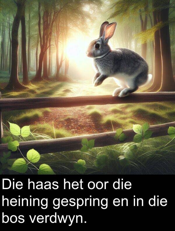 haas: Die haas het oor die heining gespring en in die bos verdwyn.