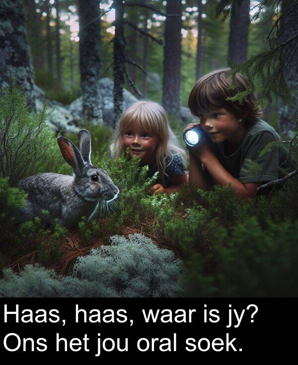 haas: Haas, haas, waar is jy? Ons het jou oral soek.